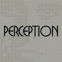 Perception / i-Perception (Sage) logo - Similar company to Teaching Public Administration