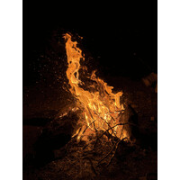 NAGEN Biopharma logo - Similar company to Kayman Consulting