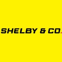 Shelby & Co. logo - Similar company to Datagranny