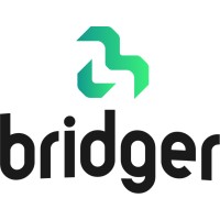 Bridger Helmets