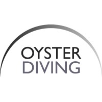 Oyster Luxury Travel & Diving logo - Similar company to Safar