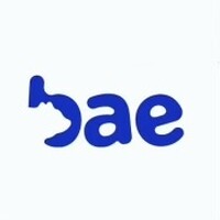 Bruins for Accessible Education logo - Similar company to Regents Scholar Society At The University Of California, Los Angeles