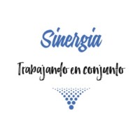 Sinergia logo - Similar company to Visepza Group Srl