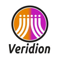 Veridion Security Inc logo - Similar company to Nalu Software