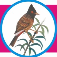 G.L. Foods logo - Similar company to Interprint Ltd