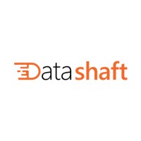 DataShaft Technologies Pvt Ltd logo - Similar company to Adherence Technology