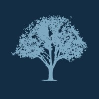 Lifetime Insurance Services, Inc. logo - Similar company to Pinnacle Advisors