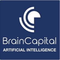 BrainCapital (Formerly, ktnResources, inc) logo - Similar company to Dynastees
