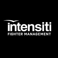 Intensiti Fighter Management logo - Similar company to Core Energy Systems Limited
