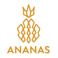 Ananas logo - Similar company to Allara Global