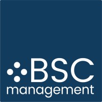 BSC Management srl logo - Similar company to Efficientare
