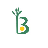 Borsa logo - Similar company to Espomena