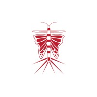 SV Creative logo - Similar company to Thunderlink Ltd.