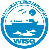 The Wise Scheme logo - Similar company to Saltire Marine Services (Scotland) Ltd