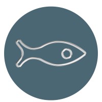 KATERINA BULGAKOVA Zurich logo - Similar company to Zurich Design Weeks