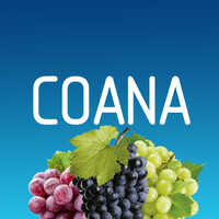 COANA logo - Similar company to Gvs Fruit Company Ltda.