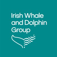Irish Whale and Dolphin Group logo - Similar company to Explorers Education Programme