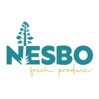 Nesbo logo - Similar company to Develop You