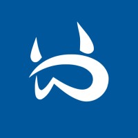 DWorkS logo - Similar company to Dworks Ltd