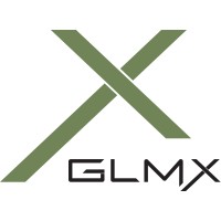 GLMX - Access, Automate, Analyze logo - Similar company to Tradinghub