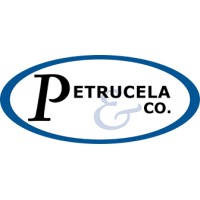 PETRUCELA & COMPANY INC logo - Similar company to Citig