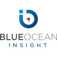 Blue Ocean Insight logo - Similar company to Delex Solutions