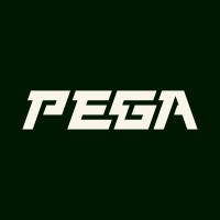 PEGA | polish esports & gaming agency logo - Similar company to 32-33