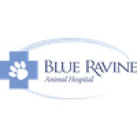Blue Ravine Animal Hospital logo - Similar company to Ukaid Skills For Employment (सीप) Programme
