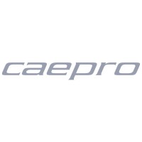Caepro Limited logo - Similar company to Stymer Technologies Private Limited