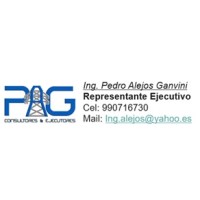 P.A.G. CONSULTORES EJECUTORES logo - Similar company to Pag Depur