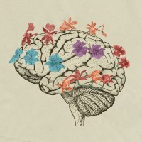 Motivated Minds logo - Similar company to Bailsafe Australia
