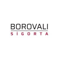 BOROVALI SİGORTA logo - Similar company to Ege Yeni Nesil Enerji