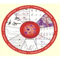 HematoLogics Inc. logo - Similar company to I3 Technology Group
