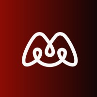 Magnetic Media logo - Similar company to Magnetic Media