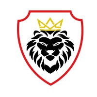 Solomon Group | Crecimiento empresarial logo - Similar company to Bgp Global