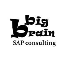 Big Brain SAP Consulting logo - Similar company to Sap Techventures