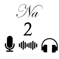 Na2 Perspective Podcast logo - Similar company to First Federal