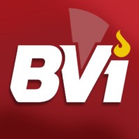 BuenaVista Information Systems logo - Similar company to The Favors Group