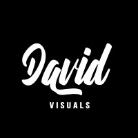 DAVID NGUYEN VISUALS logo - Similar company to David Nguyen