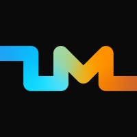 ZM team logo - Similar company to Insolutions Spa.