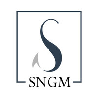 Synergic Marine Group Co., Ltd. logo - Similar company to Miracle X