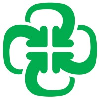 Lucky Media logo - Similar company to Bonum Ec