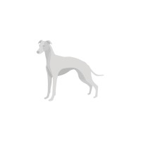 Grey Whippet logo - Similar company to Red Hare Digital