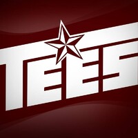 Texas A&M Engineering Experiment Station (TEES) logo - Similar company to Texas A&M Engineering Extension Service - Teex