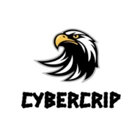 Cybercrip logo - Similar company to Vulnerx