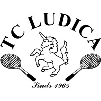 T.C. Ludica logo - Similar company to Stip Delft