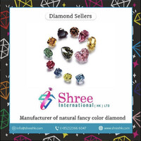 Shree International (HK) Ltd logo - Similar company to Iambic Dream Inc