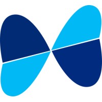 BuildStorm Technologies logo - Similar company to Netcom Services