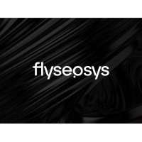 FlySeoSys logo - Similar company to Nine Dots Marketing
