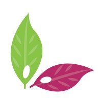 AcanChia UG & Co. KG logo - Similar company to Sampac Enterprises